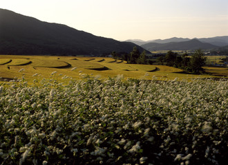 The image of beautiful scenery