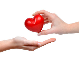 heart in hand isolated on white