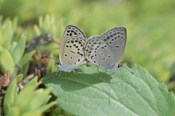 The image of beautiful nature