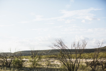 Texas countryside