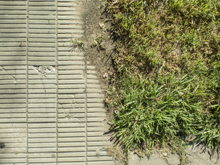 Límite de sendero de baldosas con césped.