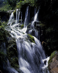 Fototapeta premium The image of landscape