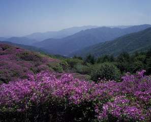 Obraz premium The image of landscape