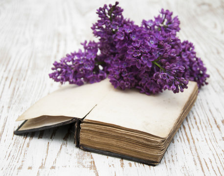 Old Book  and lilac branch