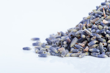 Lavendel Aroma Lila Blüten Aromatherapie