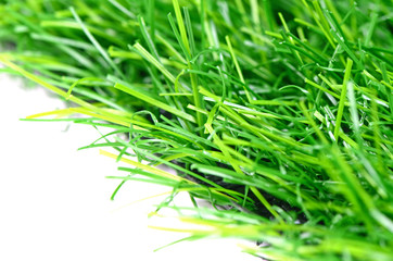 Artificial turf for garden decoration.