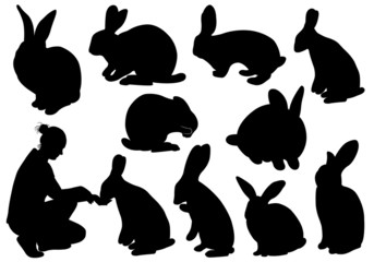 Set of different rabbits