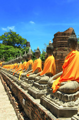 Fototapeta na wymiar Buddha images rowing in the ruin