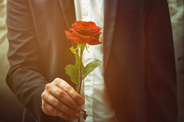 Man offers a rose