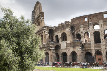 Naklejka premium Roma - Colosseo