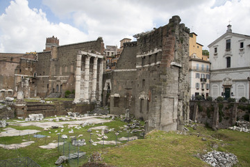 Fototapeta premium Roma - Foro Romano