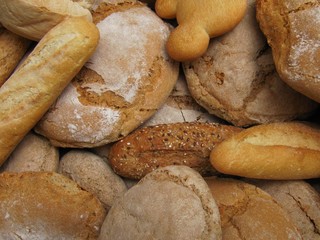 Variedad y tipos de diferentes  panes.