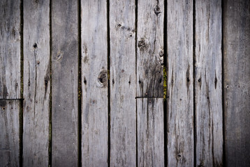 Fototapeta premium The wood texture with natural background