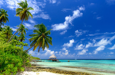 einsamer Strand auf den Malediven