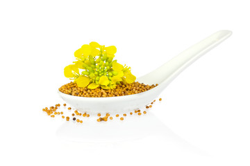 Seed and flower of mustard   in porcelain spoon isolated on