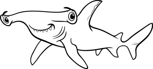 Photos, illustrations et vidéos de "hammerhead shark"