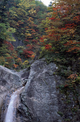 The image of beautiful scenery