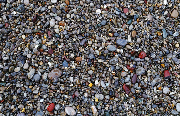 Multicolored sea pebbles