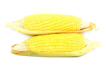 Fresh raw corn
