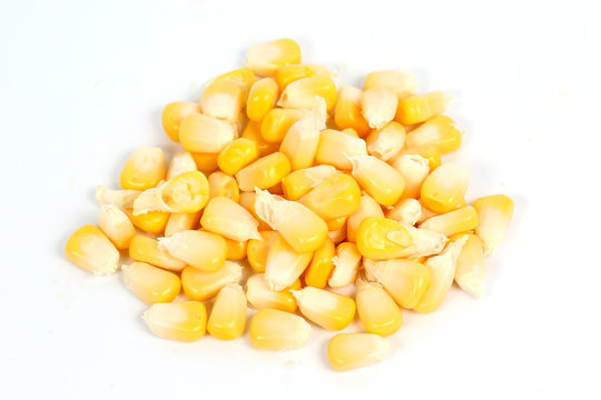 Yellow seed corn