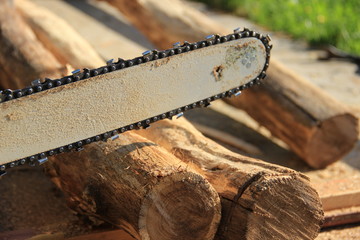 сельское хозяйство