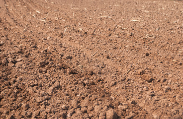 Cultivated gray dried soil, nature background
