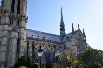 Fototapeta na wymiar Norte-Dame in Paris