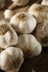 Organic Raw White Garlic