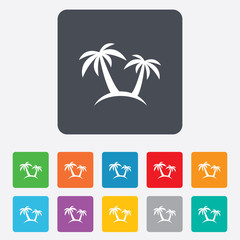 Palm Tree sign icon. Travel trip symbol.