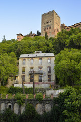 Fototapeta na wymiar Alhambra desde Paseo de los Tristes 1