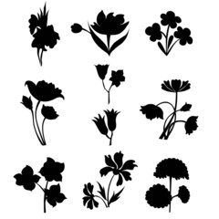 Flower Set silhouette-Vector