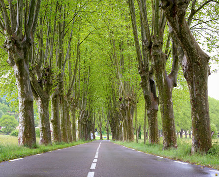 road