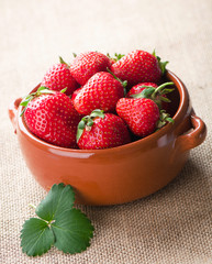 Fresh strawberries