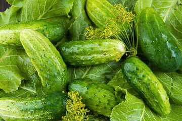 pickled cucumbers green leaves chrono