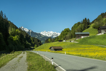 Bergsommer