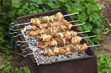 Pork Shish kebab on Fire. Appetizing fresh meat shish kebab prep