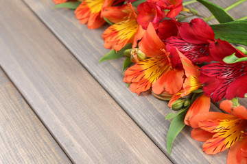 Beautiful Alstroemeria flowers on wooden table