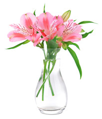 Alstroemeria flowers in vase isolated on white