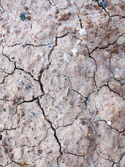 Cracked soil