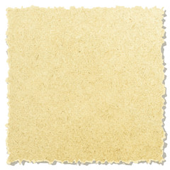 ripped pieces of paper