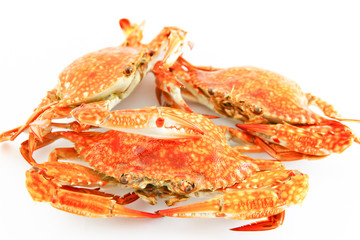 Crabs