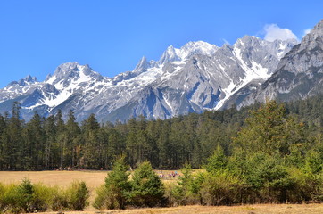 Alpine Mountain Landscape