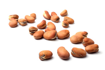 Fried broad beans (Vicia faba)