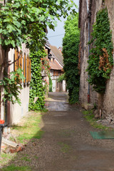 Street with half-timbered medieval houses in Eguisheim, Alsace