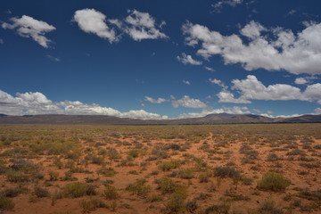 Naklejka premium African savanna, Inverdoorn Game Reserve