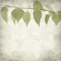 Fototapeta premium textured old paper background
