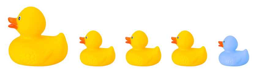 Toy rubber duck family isolated on white