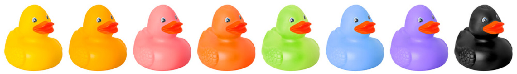 Toy rubber colored ducks isolated on white