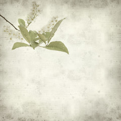 textured old paper background with