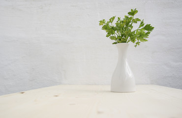 Parsley in flowerpot